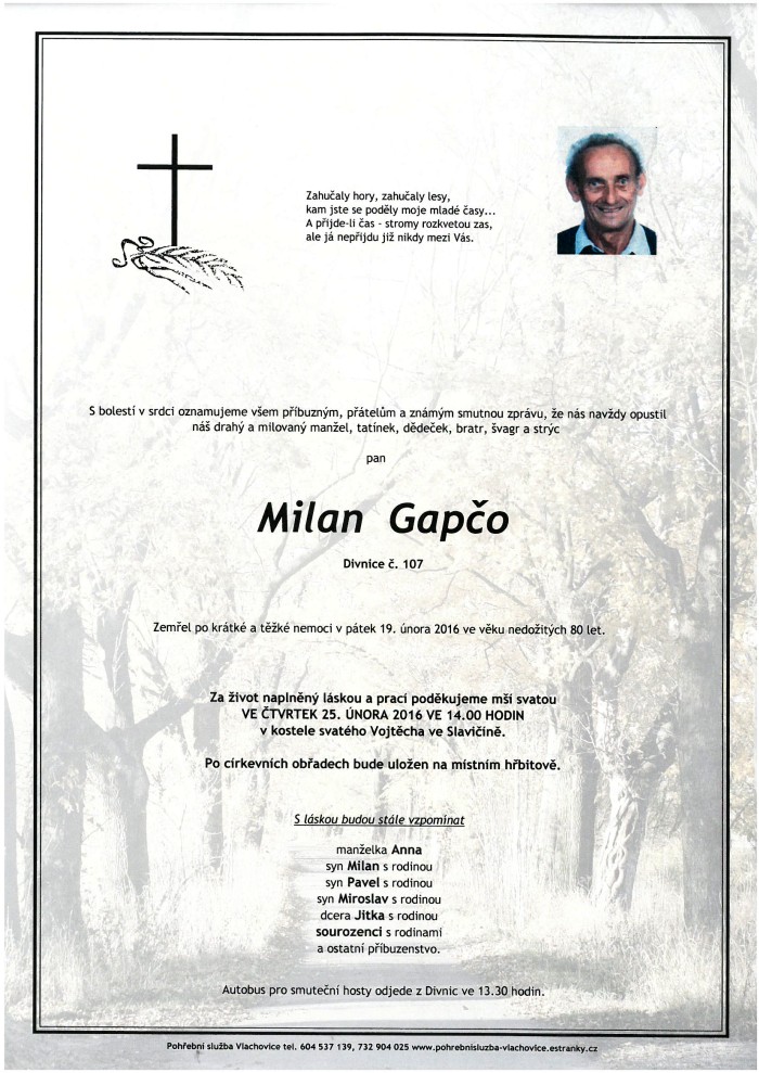 Milan Gapčo