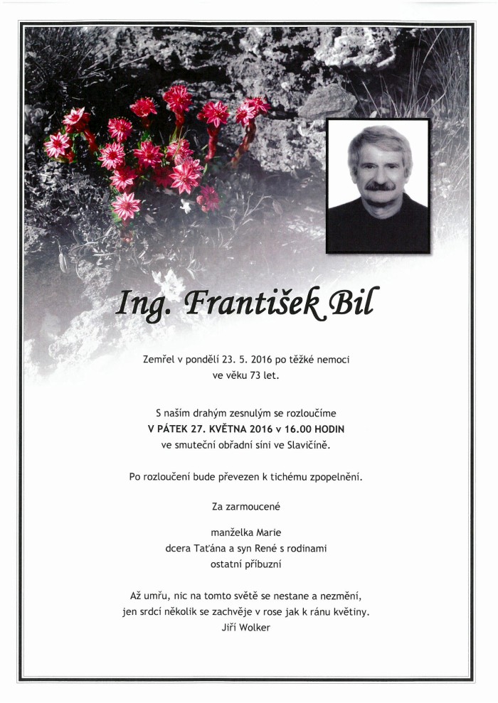 Ing. František Bil