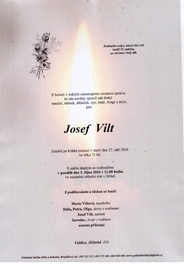 Josef Vilt
