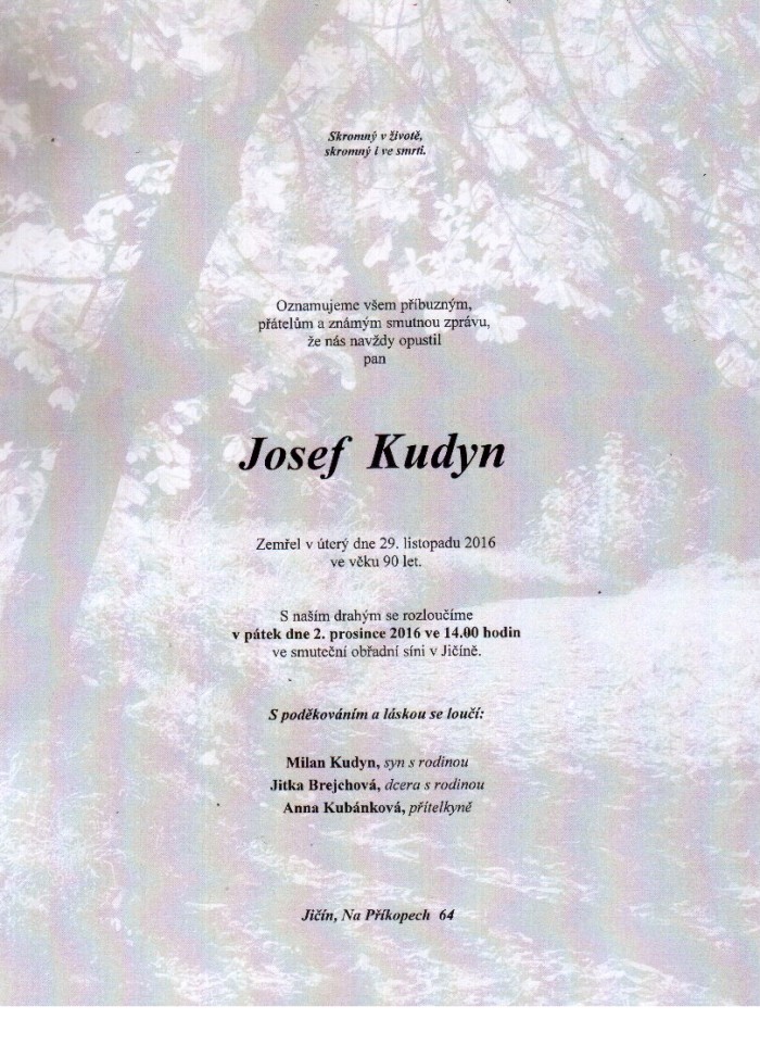 Josef Kudyn
