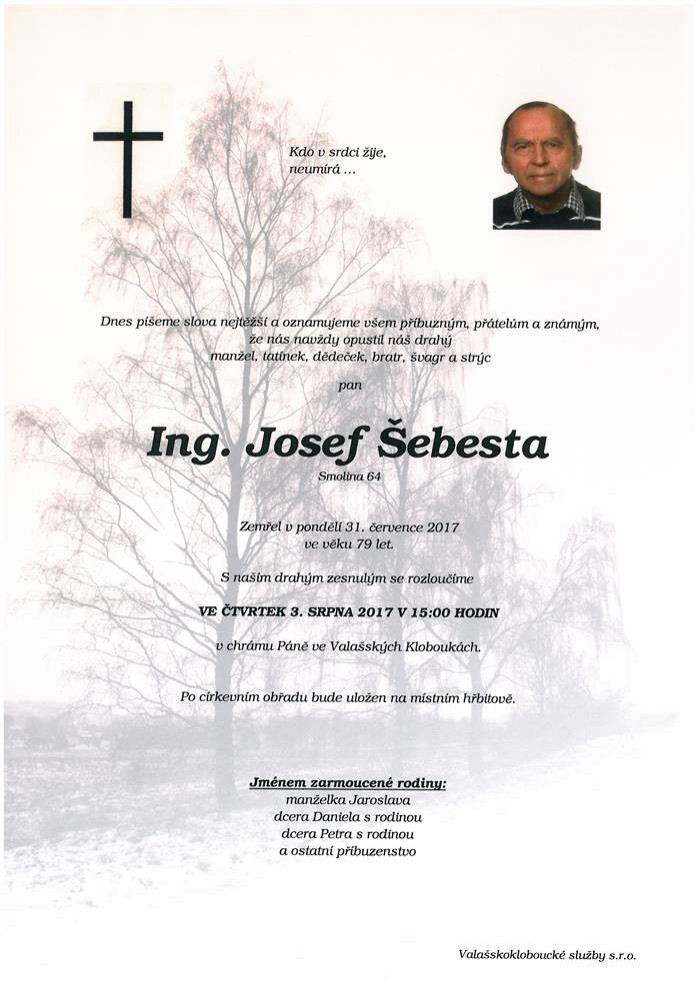 Ing. Josef Šebesta