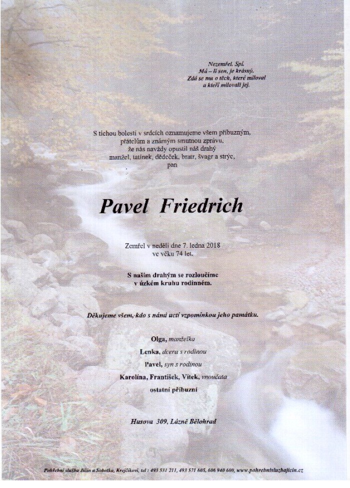 Pavel Friedrich