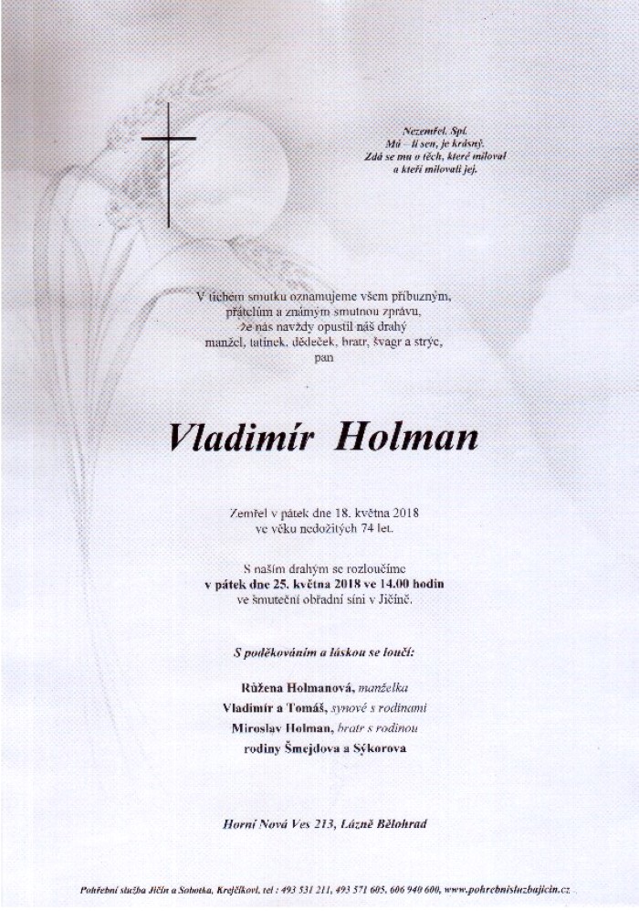 Vladimír Holman