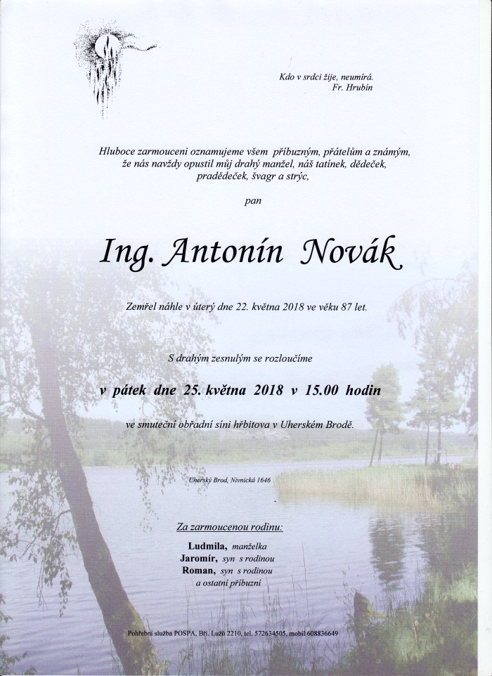 Ing. Antonín Novák