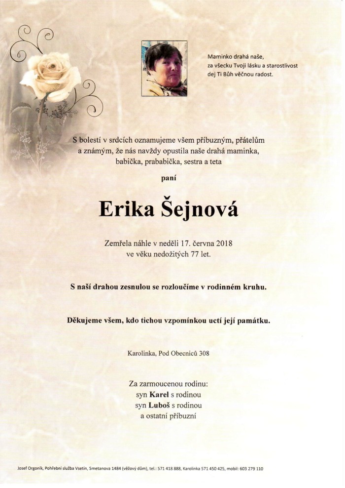 Erika Šejnová