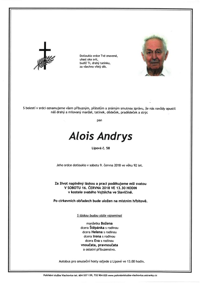 Alois Andrys