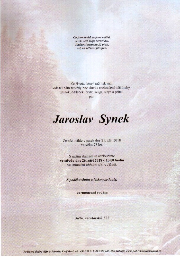 Jaroslav Synek