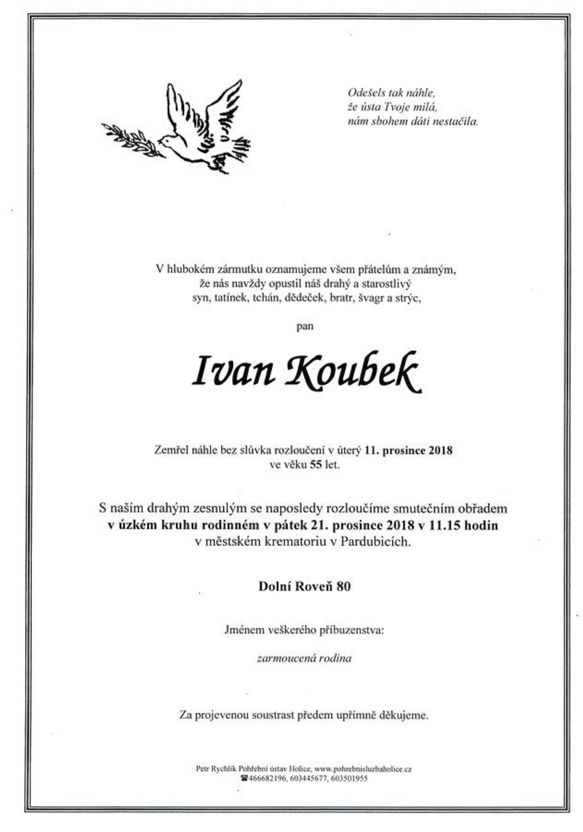 Ivan Koubek