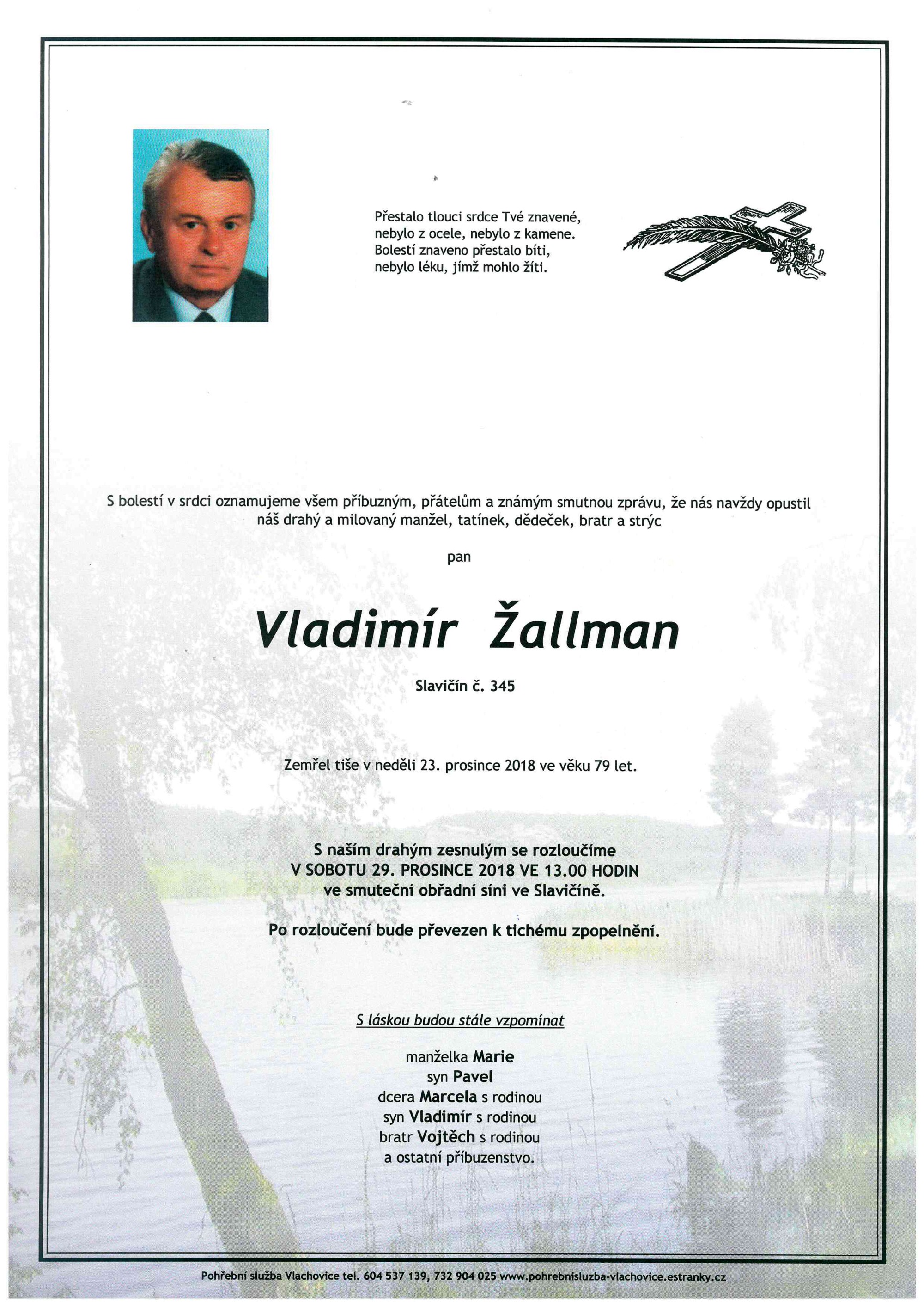 Vladimír Žallman