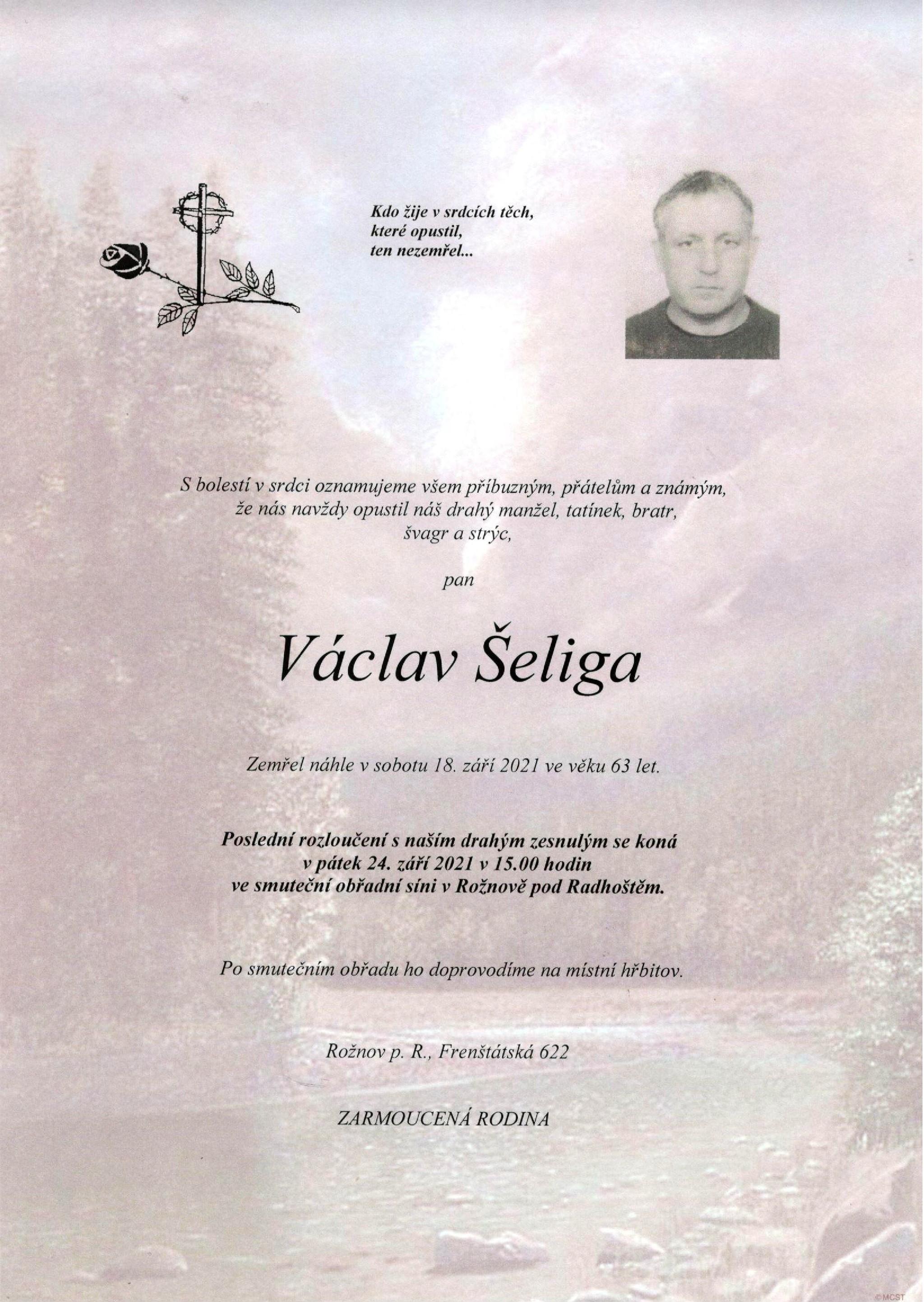 Václav Šeliga