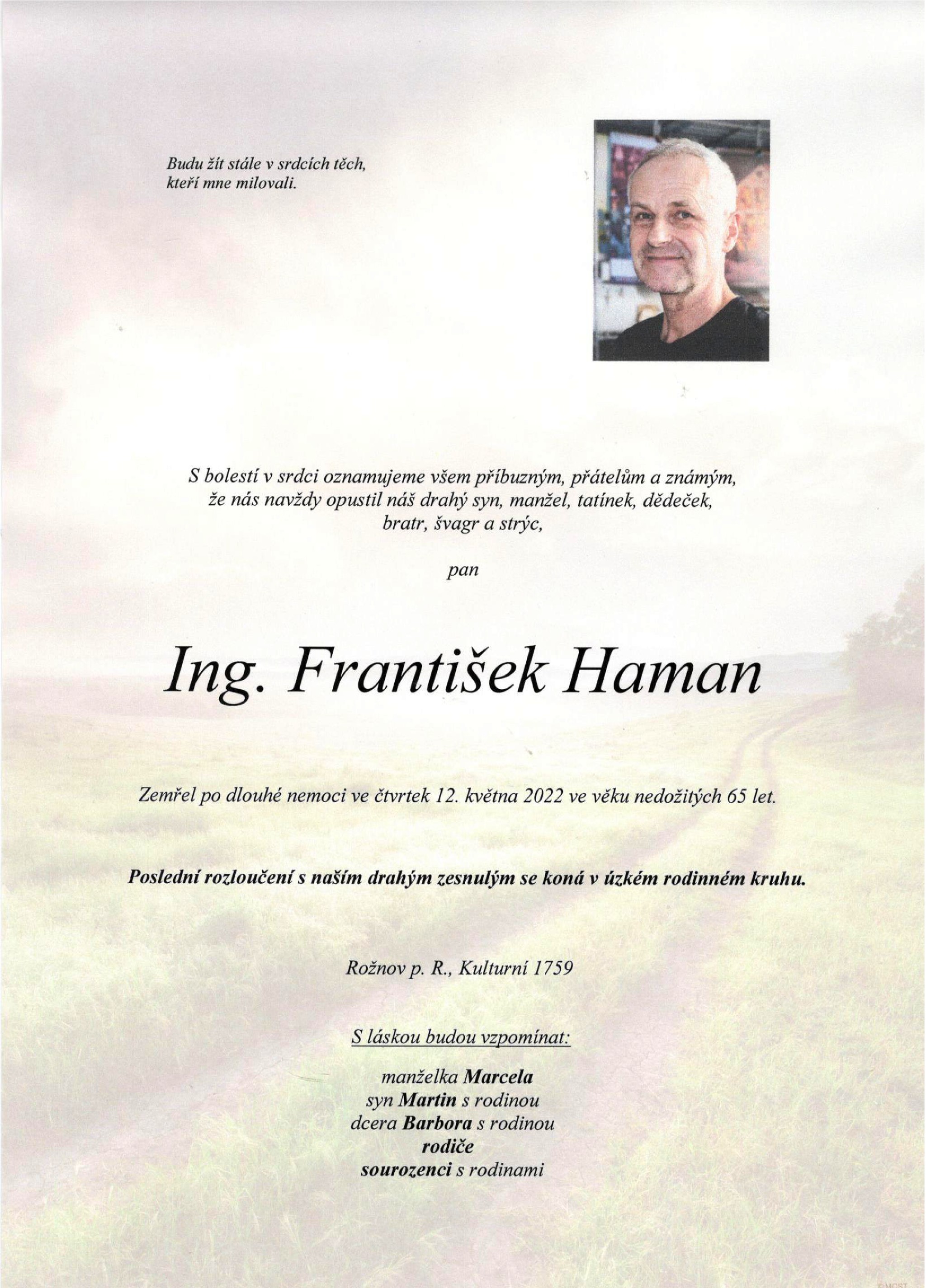 Ing. František Haman