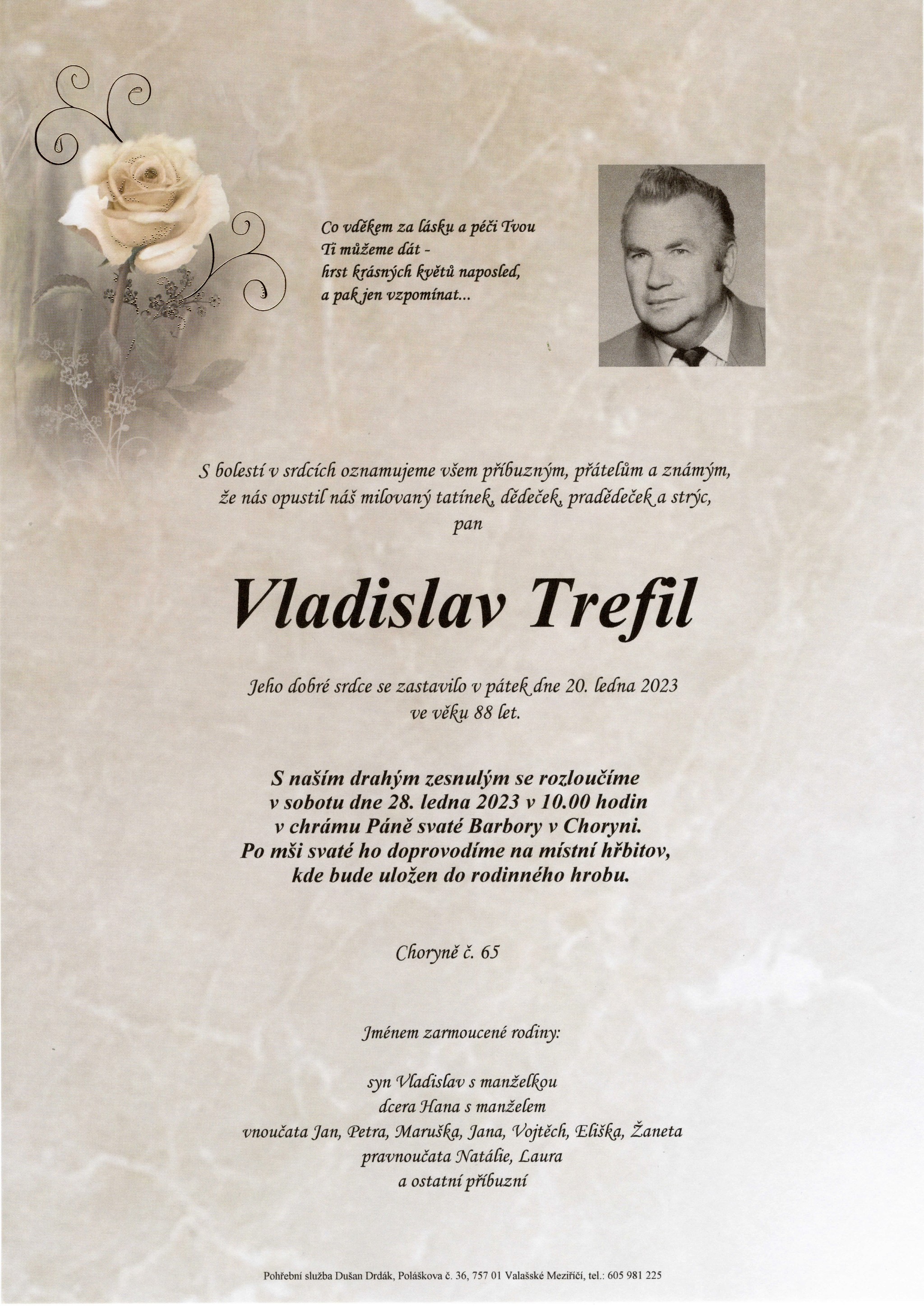 Vladislav Trefil