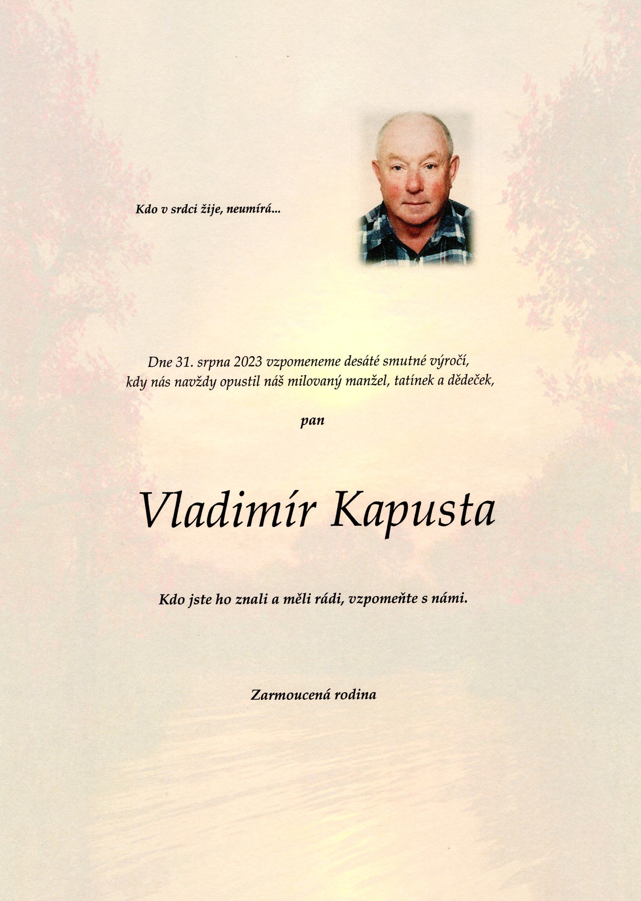 Vladimír Kapusta